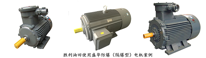 山東電機(jī)廠,防爆電機(jī),電機(jī)使用用戶 山東電機(jī)廠,防爆電機(jī),電機(jī)使用用戶