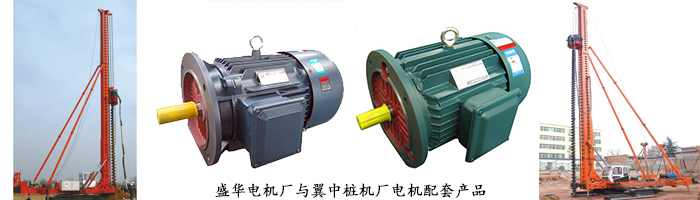 打樁機(jī)專用電機(jī)