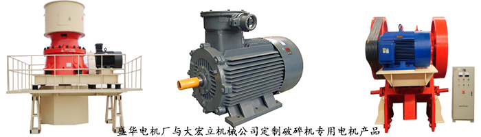 山東電機(jī)廠,破碎機(jī)專用電機(jī),電機(jī)定制