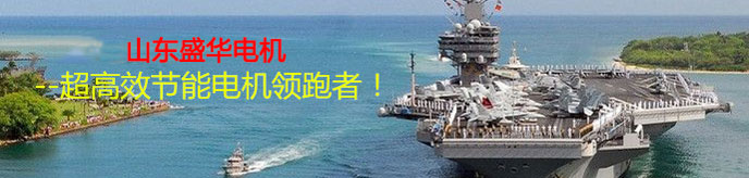 鉆機(jī)設(shè)備專用電機(jī) 鉆機(jī)設(shè)備專用電機(jī)