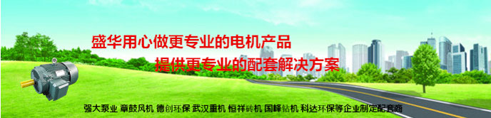 環(huán)保設(shè)備專用電機(jī)
