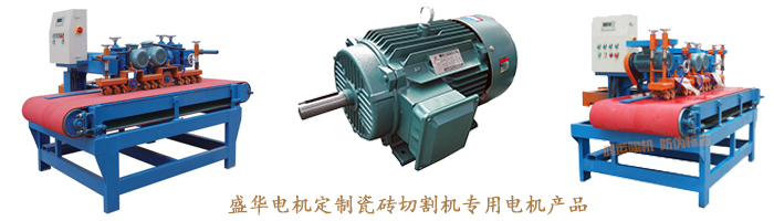 山東盛華電機生產(chǎn)廠家,瓷磚切割機專用電機,電機定制