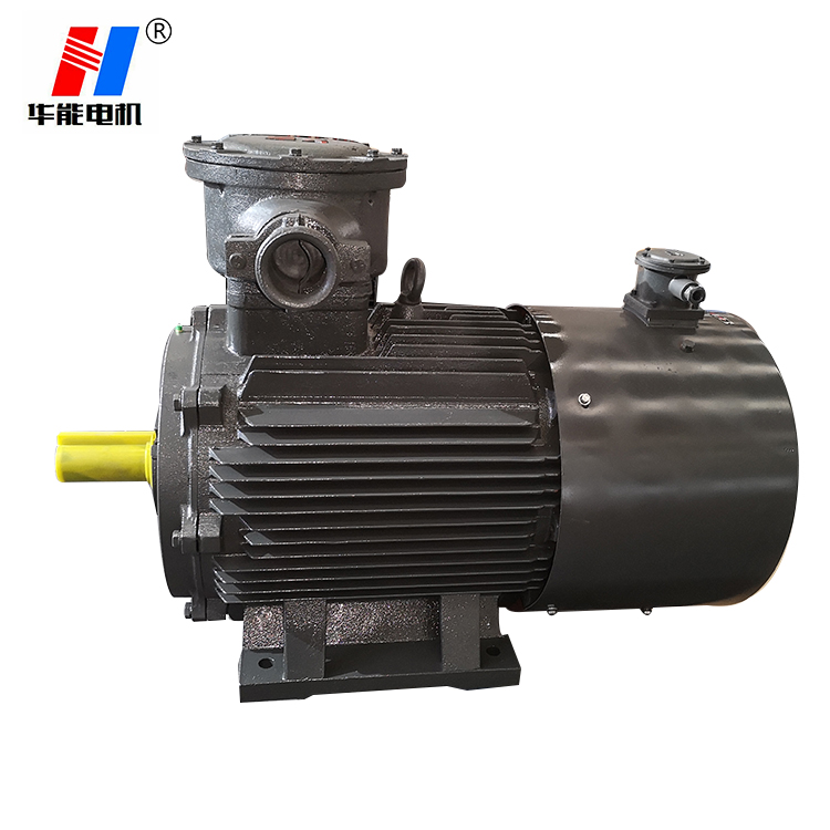 大功率防爆電機(jī),電機(jī)生產(chǎn)廠家,山東電機(jī)廠家,山東電機(jī)