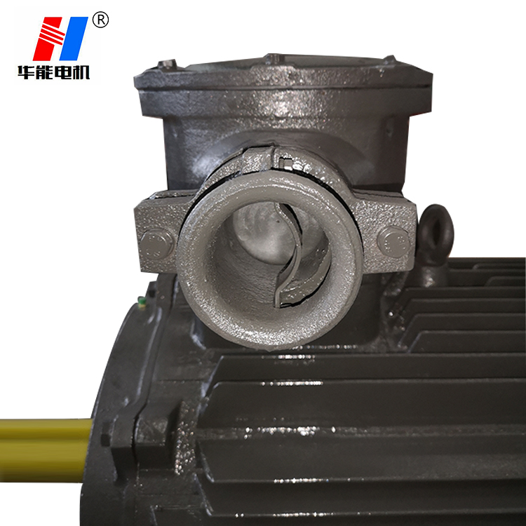 大功率防爆電機(jī),電機(jī)生產(chǎn)廠家,山東電機(jī)廠家,山東電機(jī)