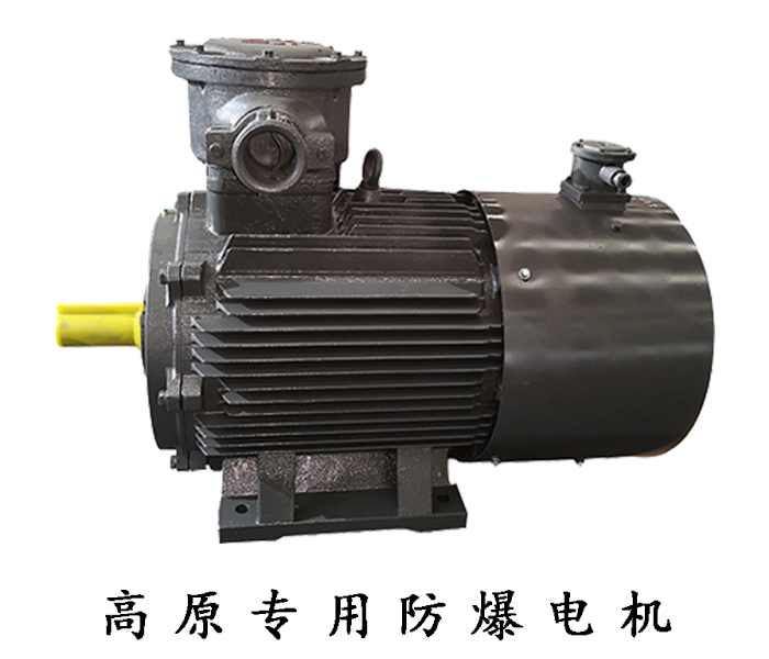 高原專用防爆電機(jī)