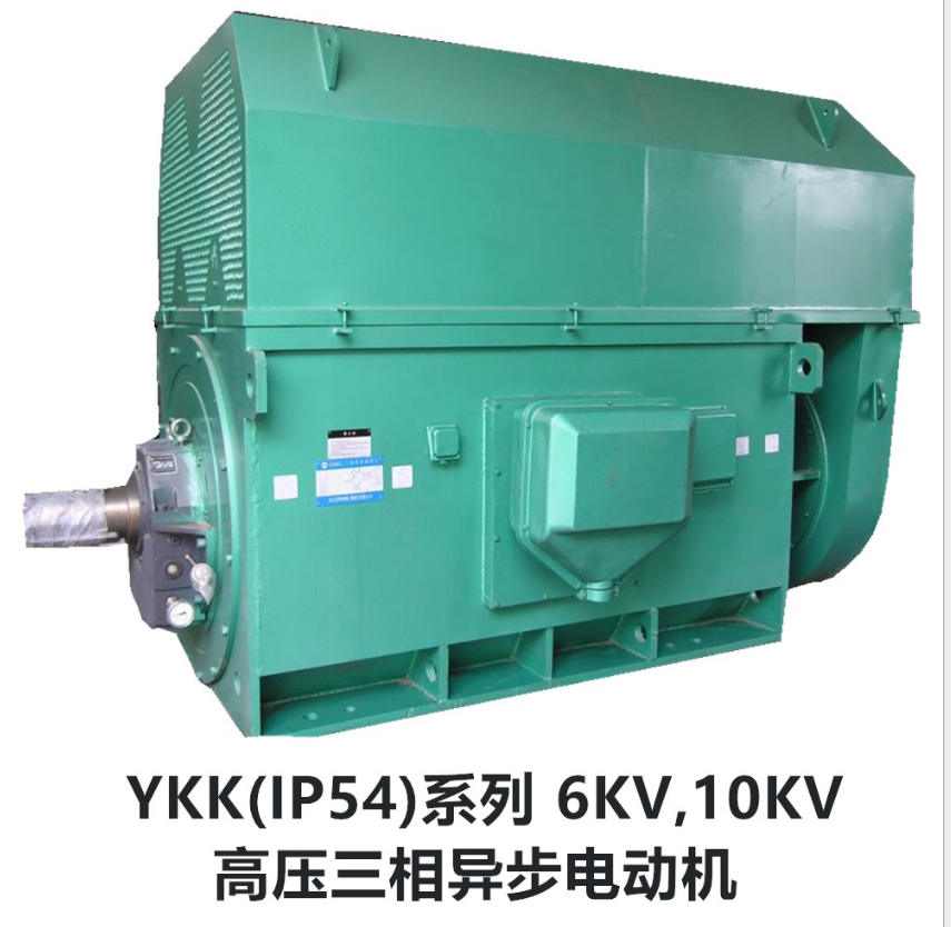 山東電機廠YKK大功率高壓電機