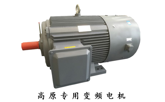 山東盛華高原專(zhuān)用變頻電機(jī)