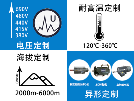 電機(jī)定制生產(chǎn)廠家