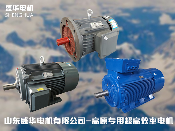 盛華電機廠家高原電機